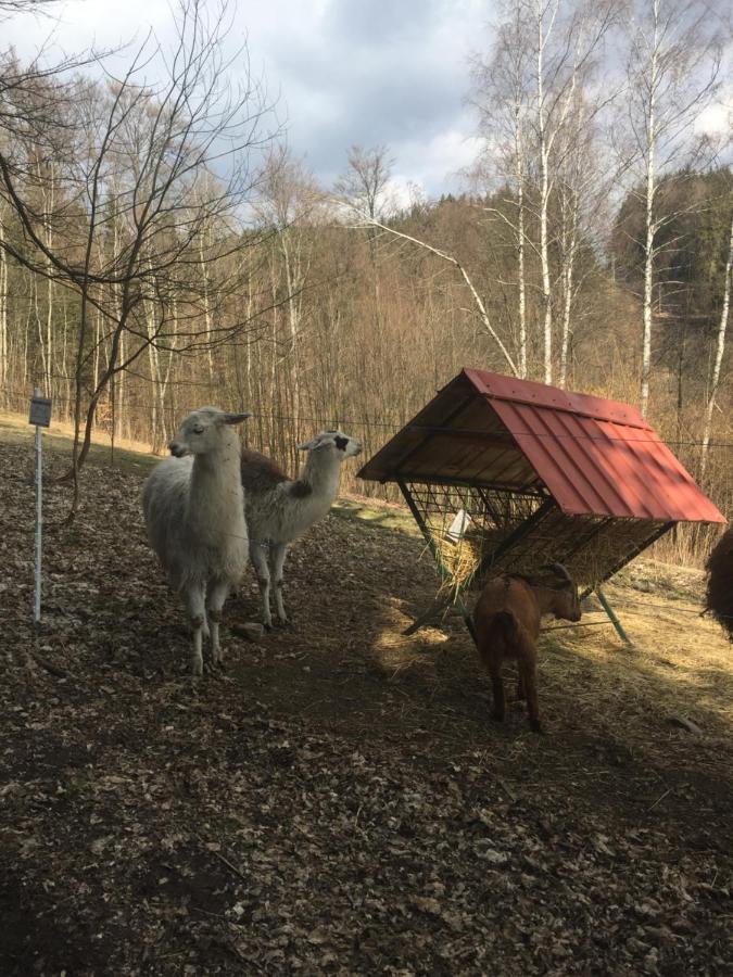 Apartman Hopi Hopi Svoboda nad Úpou Екстериор снимка